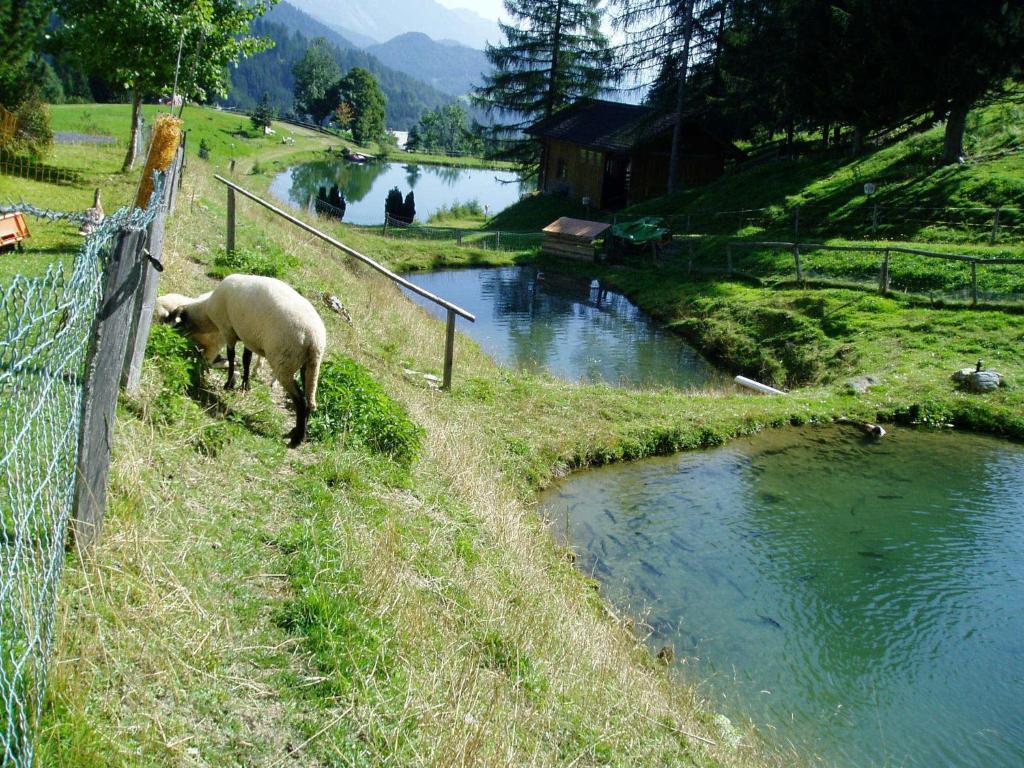 Innviertler Berggasthof Radstadt Exteriör bild